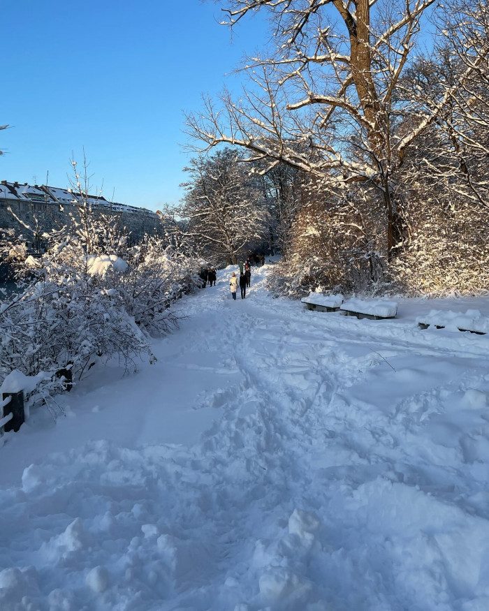 Schnee is