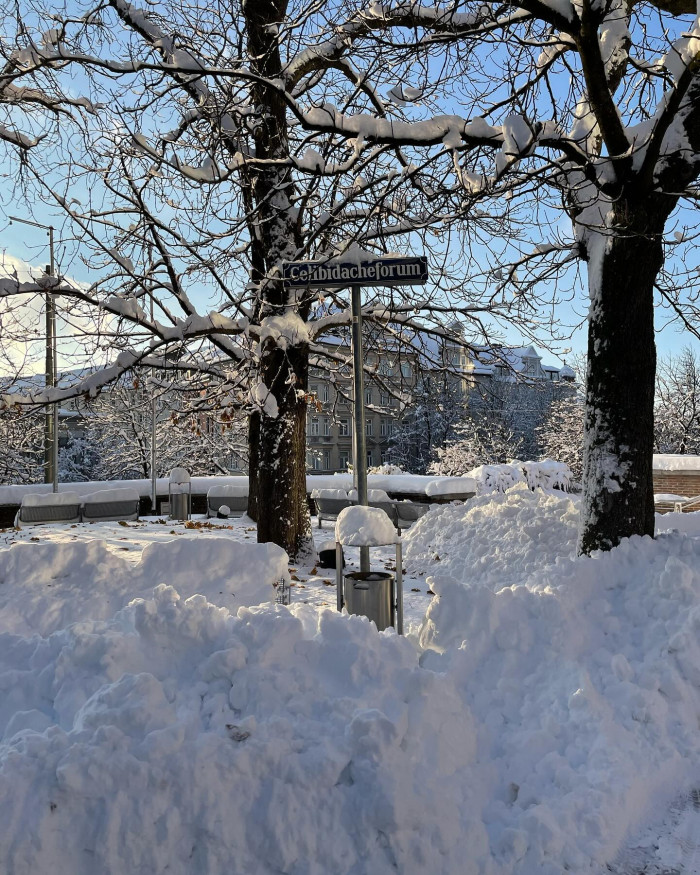 Schnee is