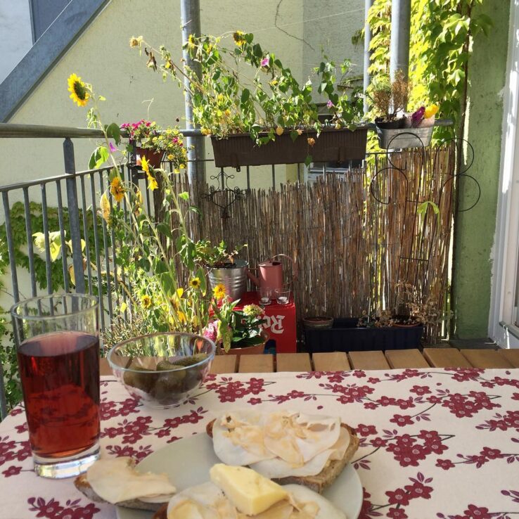 14288176_204940816591600_608681353_n