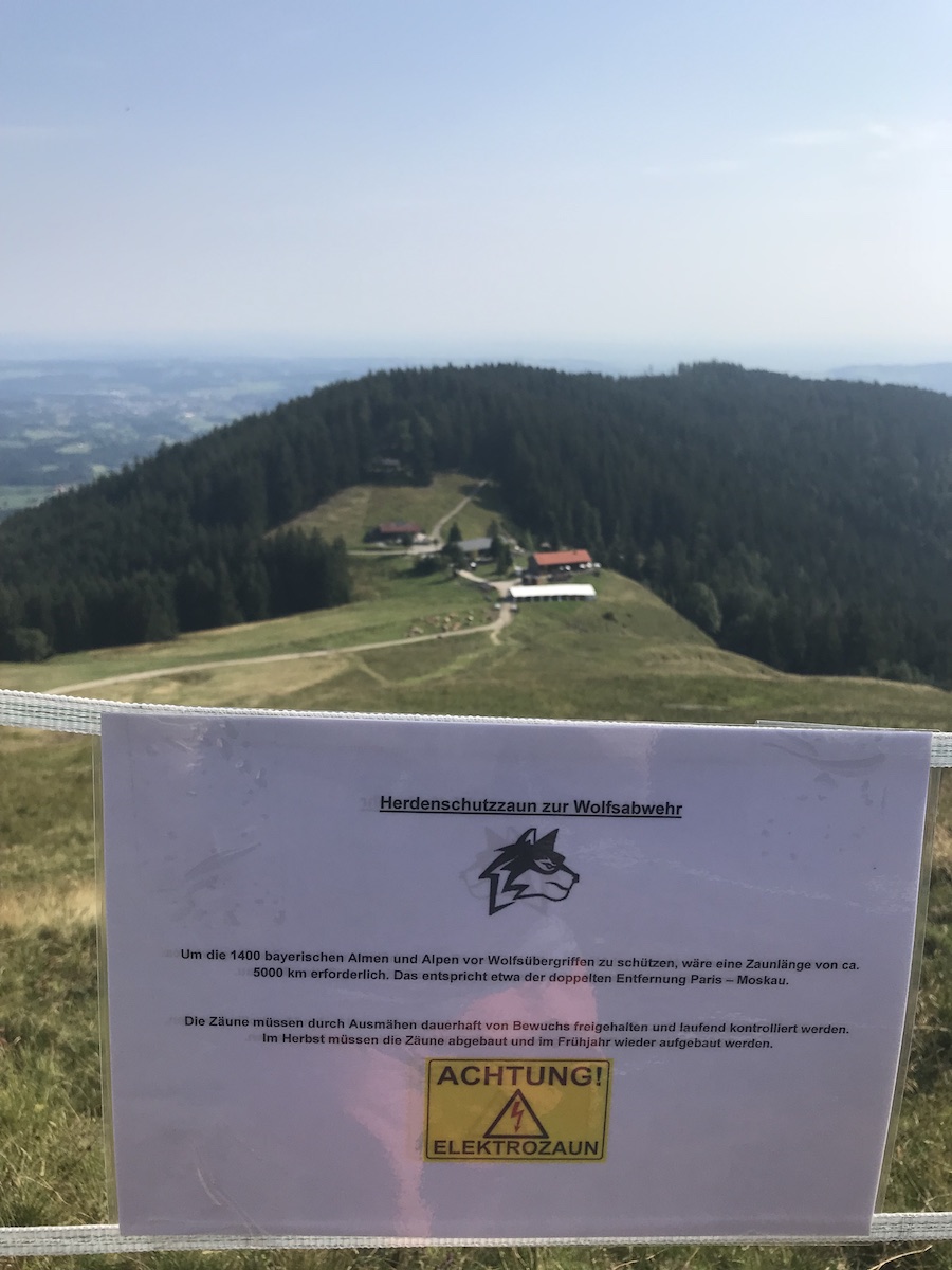 Obacht vor dem Wolf! (nicht der Rapper aus den 90ern)