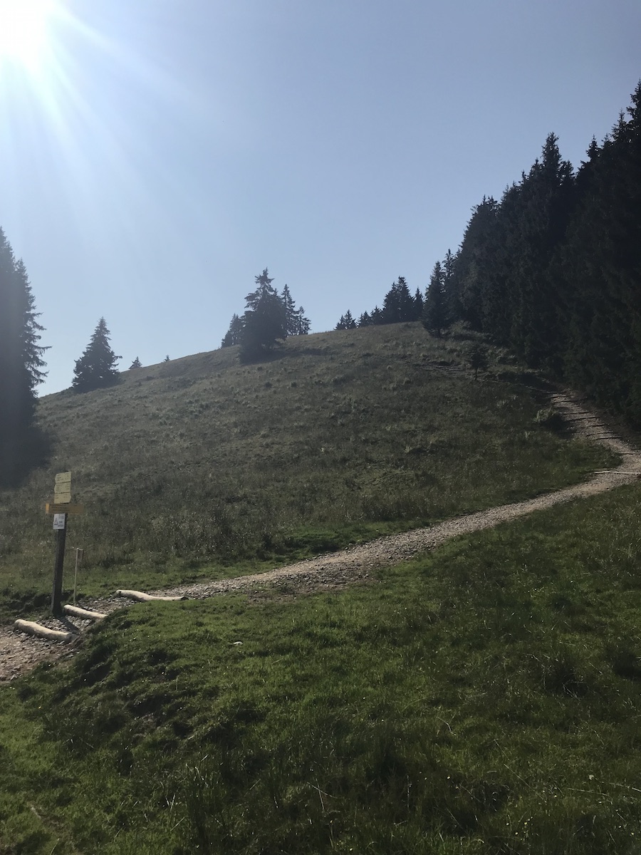 Das letzte mal war hier alles voll mit Schnee.