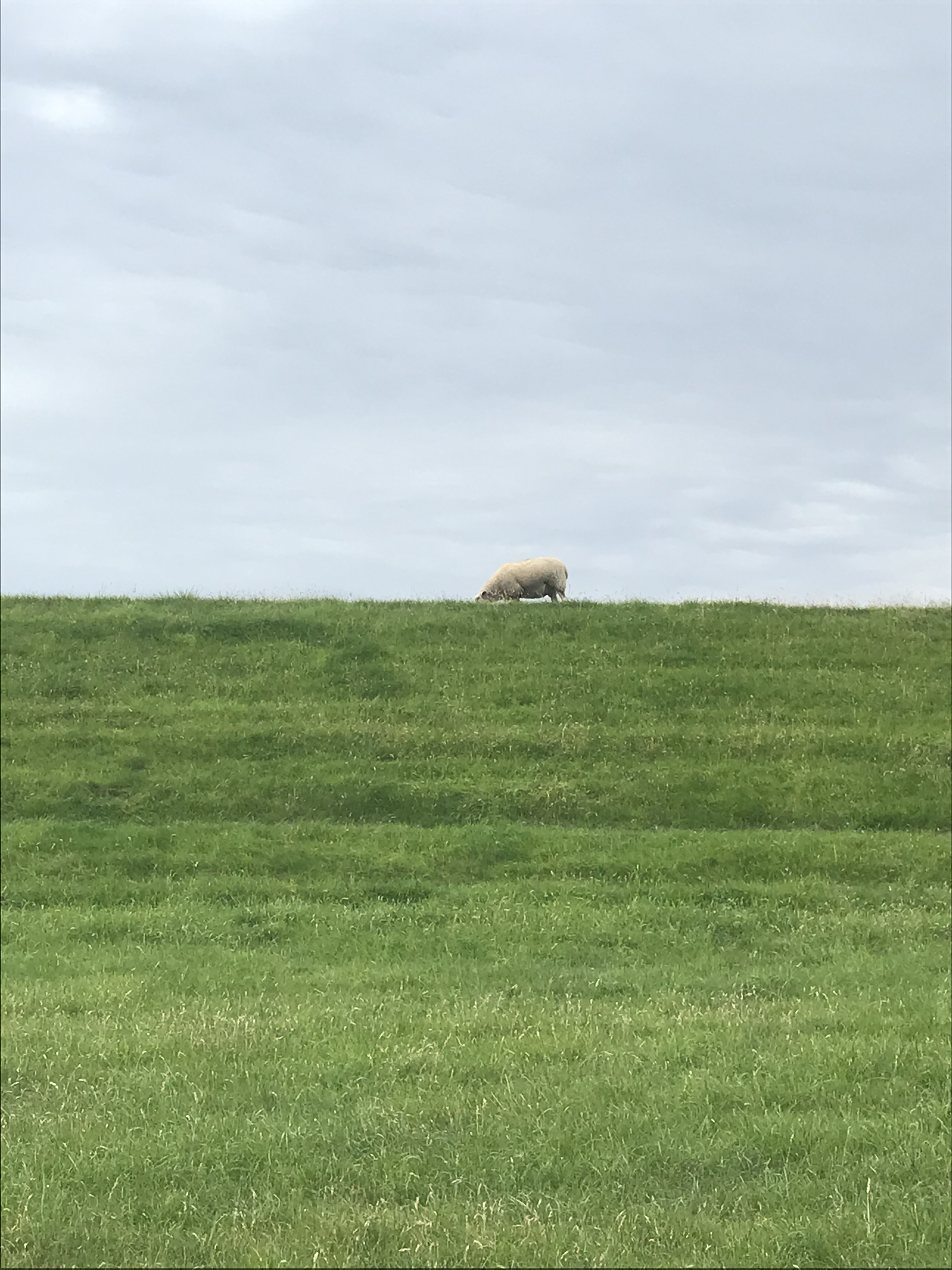 Mit Kindern auf dem Nordseeradweg von Hamburg nach Sylt