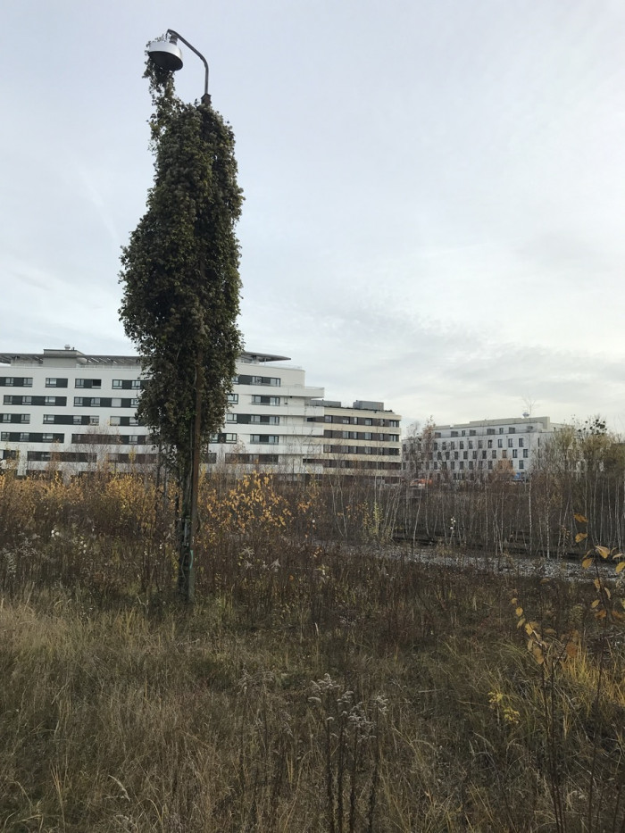 26.11.2019 - Gleispark Baumkirchen