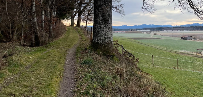 Wanderspaziergang: Pei&szlig; - Aying