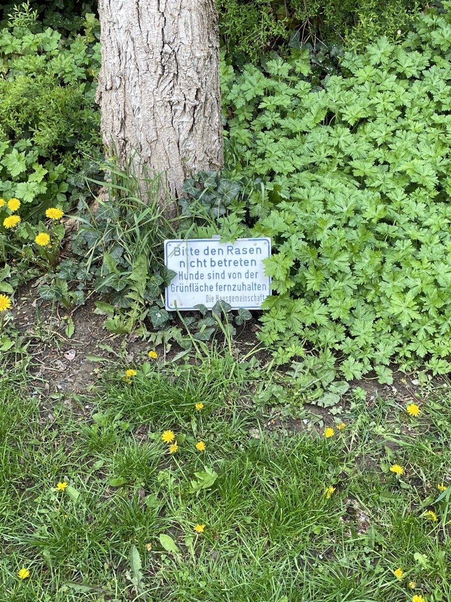 Alles ist verboten (11)