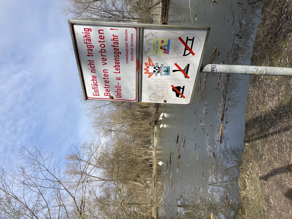 Schw&auml;ne lesen keine Hinweisschilder und klicken nicht auf Links