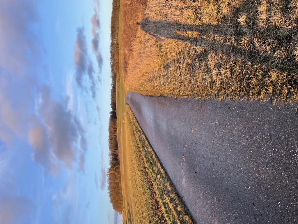 Schatten, Radioleichen und Modeverbrechen