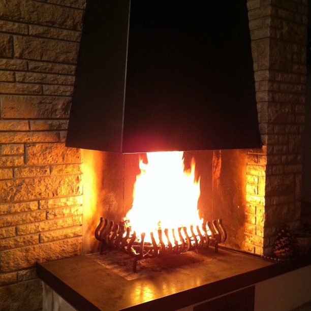 Holt das B&auml;renfell raus