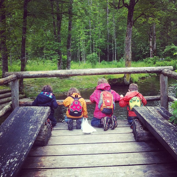 Nein, kein kollektives Erbrechen.