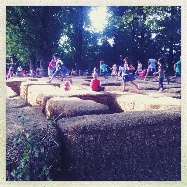 Warum liegt da Stroh?