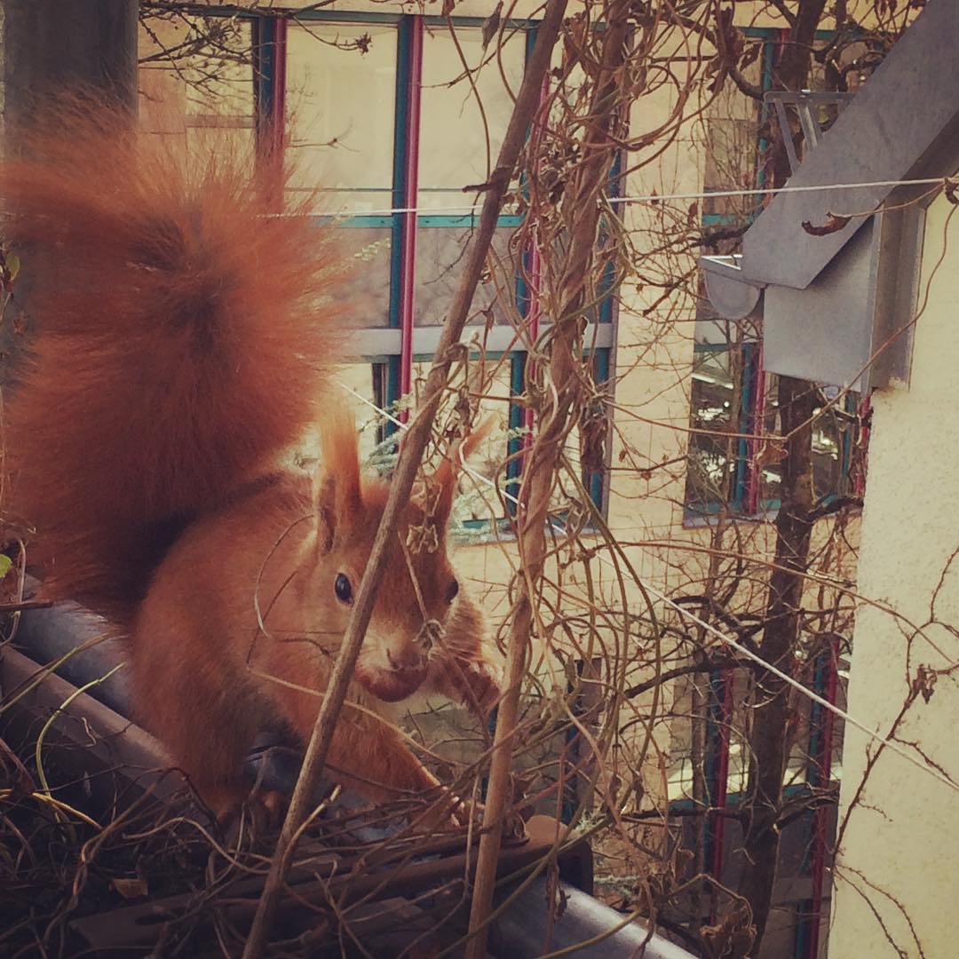 Besuch am Mittagstisch