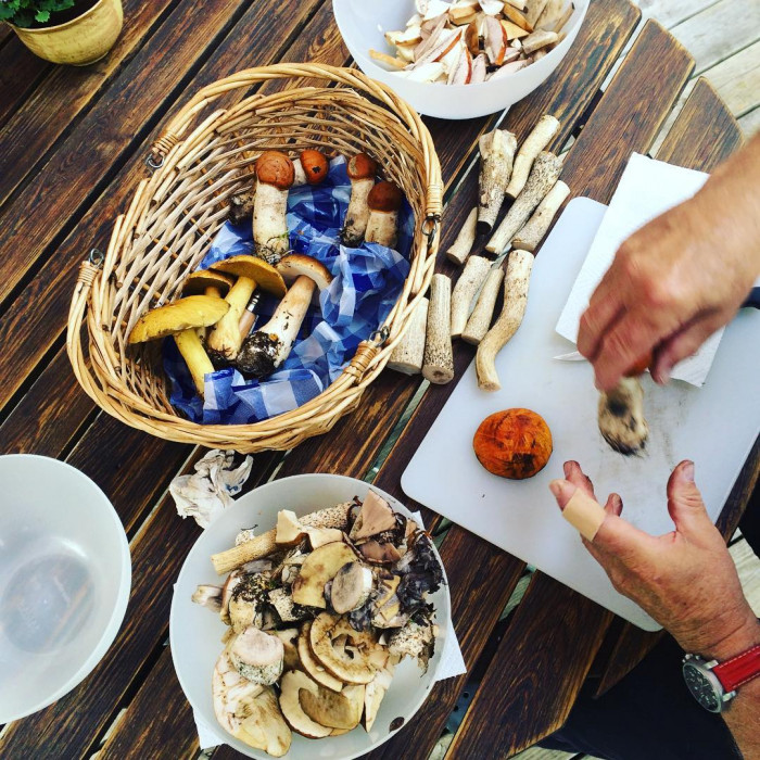 Opa hat Pilze gesammelt 🇸🇪