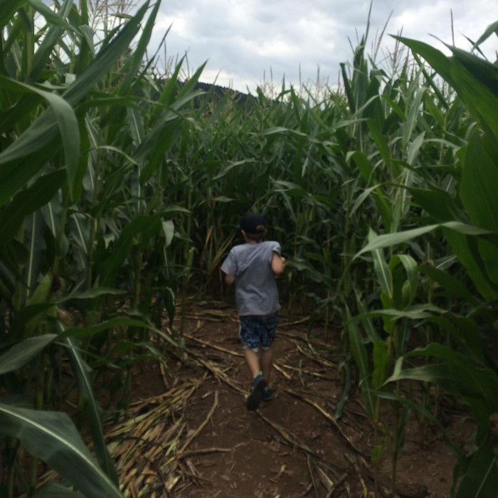 Rest der Familie schon verloren