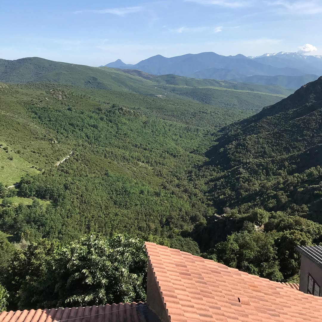 Castellare-di-Mercurio ist schon wieder so ein Bergdorf, wo die Stra&szlig;e aufh&ouml;rt. Insgesamt 33 Einwohn