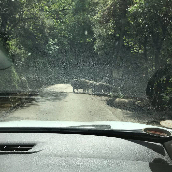 Der Weg zur Chapelle di San Bertuli startet im Bergdorf Parata. Der Weg dorthin mit dem Auto ist sch