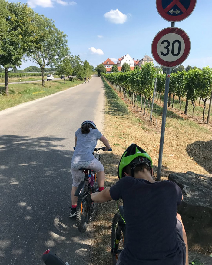 Tag 2: &Uuml;berlingen nach Friedrichshafen, 35 Kilometer, alles flach. Ein Katzenspr&uuml;ngle, wie der Boden