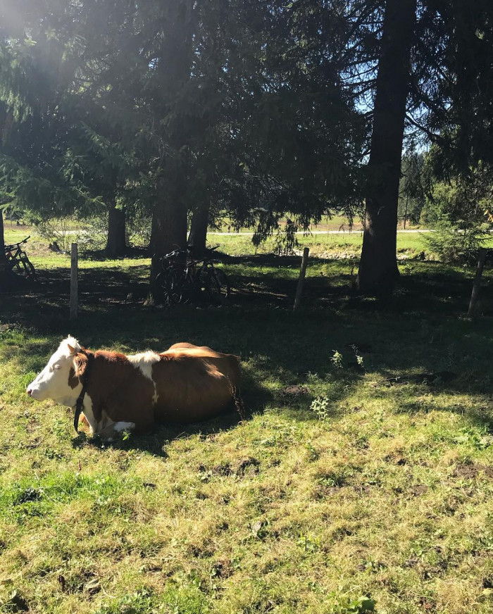 Weil ich endlich mal auf die Tegernseer H&uuml;tte wollte, sind wir da heute hin. Auf dem letzten St&uuml;ck n