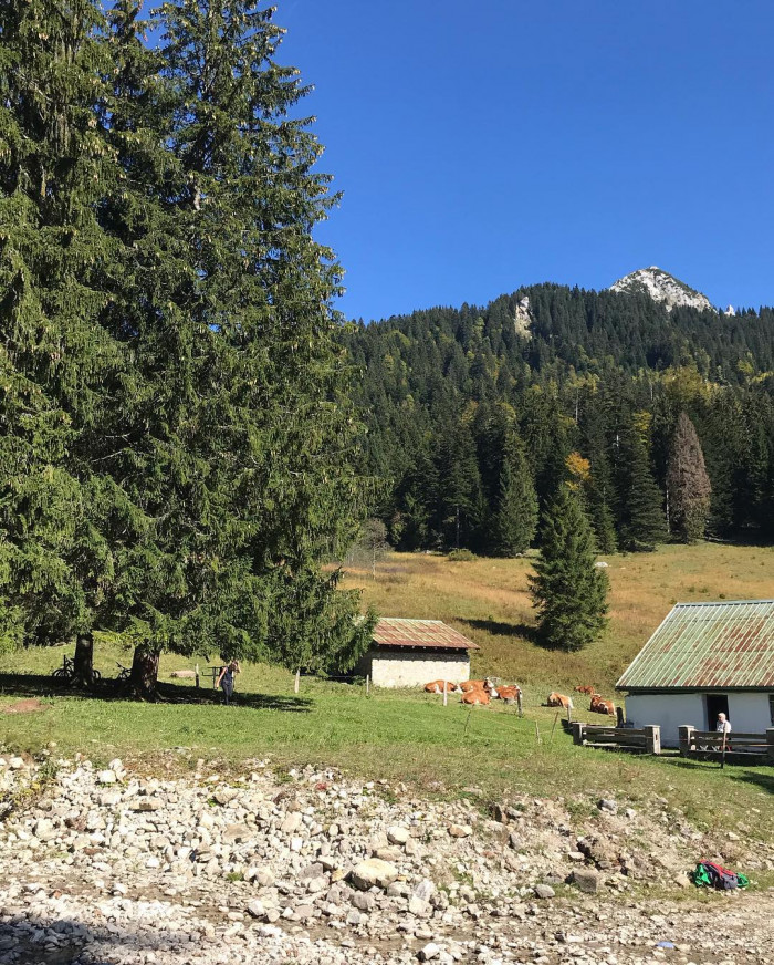 Weil ich endlich mal auf die Tegernseer H&uuml;tte wollte, sind wir da heute hin. Auf dem letzten St&uuml;ck n