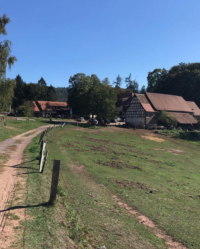 2 Tage lang im Pf&auml;lzer Wald rumgelaufen. &Uuml;berall im Wald stehen Felsen und alte Burgruinen. Abends i