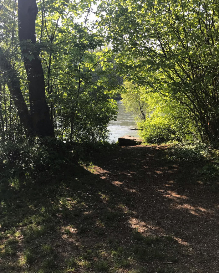 Laufstrecke heute bis F&ouml;hringer Wehr (wei&szlig; man genaueres zu dem Panda?) Das bl&ouml;de an strikter Einhal
