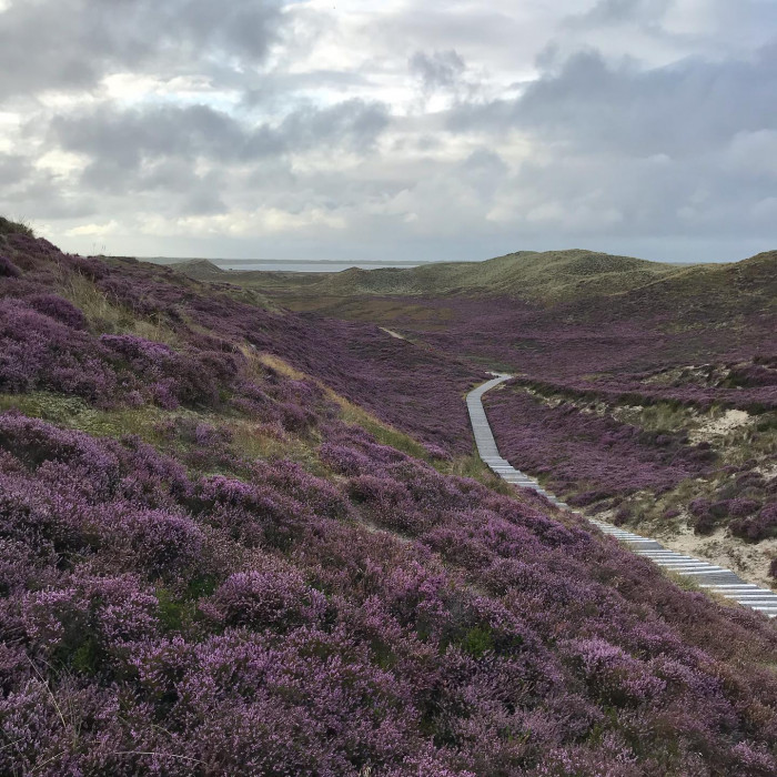 Tag 11 und 12: Nach F&ouml;hr kommt Sylt. Mit dem Zug geht es von Dageb&uuml;ll nach Westerland auf Sylt. Nach