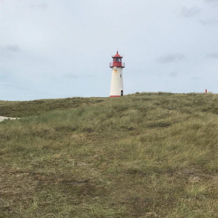 Tag 11 und 12: Nach F&ouml;hr kommt Sylt. Mit dem Zug geht es von Dageb&uuml;ll nach Westerland auf Sylt. Nach