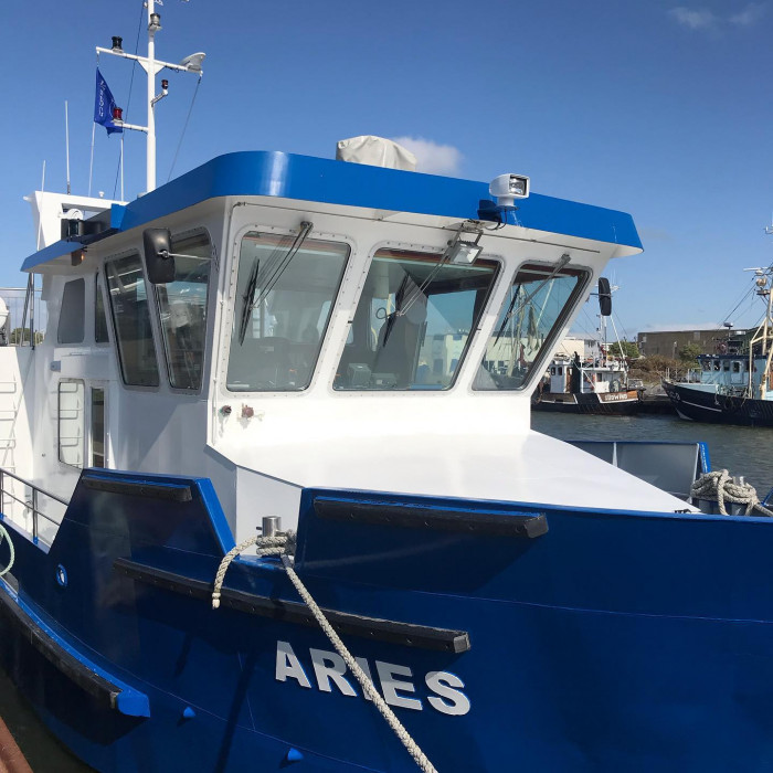 Tag 4: Von Friedrichskoog-Spitze nach B&uuml;sum.