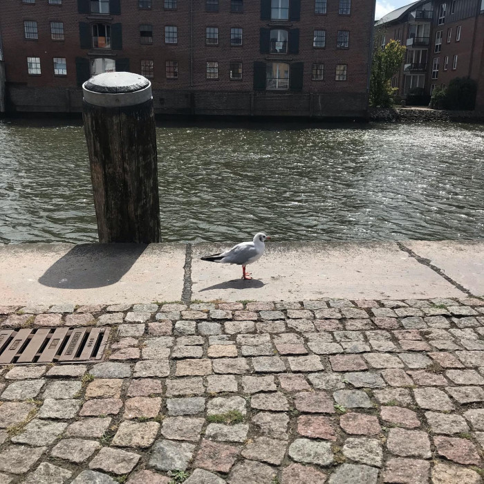 Tag 7: Von T&ouml;nning nach Husum