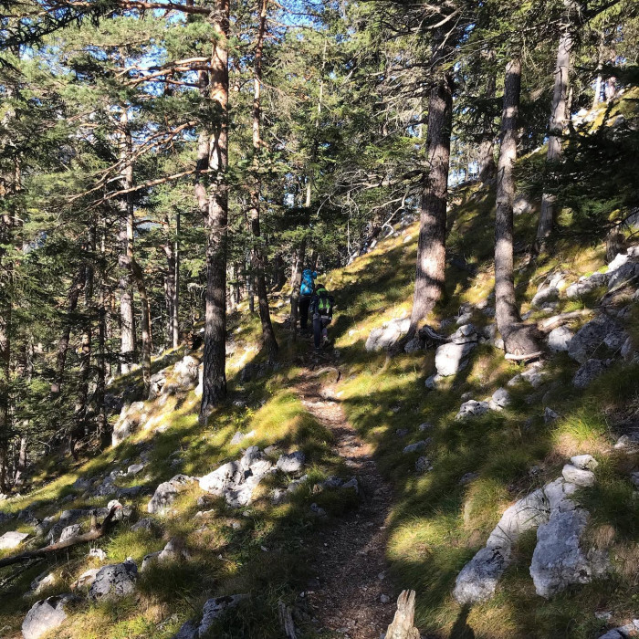 Nach Mittenwald fahren wir von M&uuml;nchen aus knapp 2 Stunden mit dem Zug. Ab Murnau wird die Strecke i