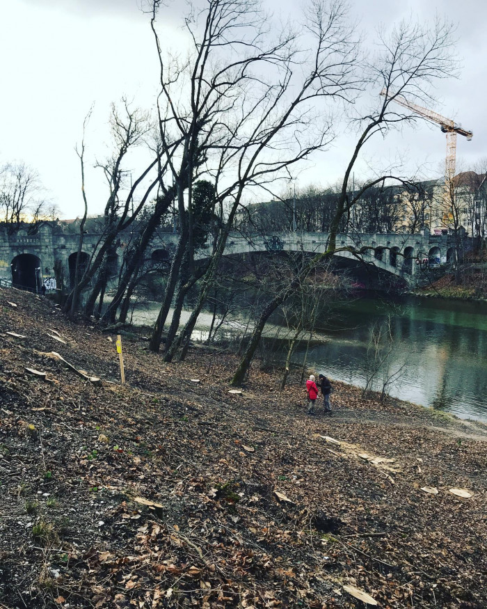 Deutliche Rodung an der