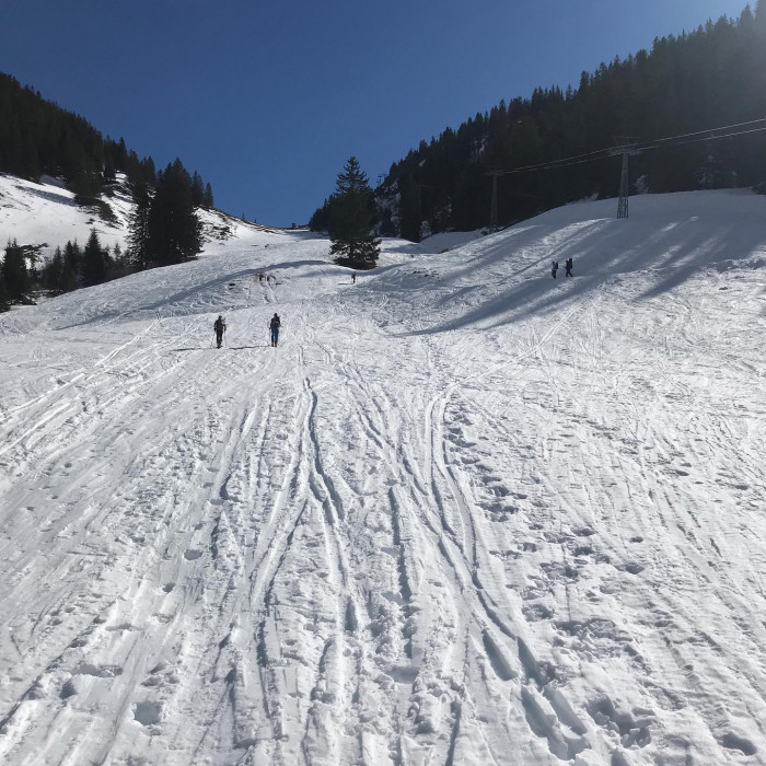 Mit BOB und Bus bis Spitzingsee. Dann Richtung Rotwandhaus. Der Schlittenweg ist leider wegen Lawine