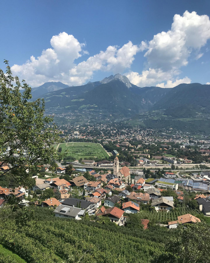 Die Hänge Südtirols sind voll mit Apfelbäumen und Weinreben. Früher wurden die Pflanzen mit kün