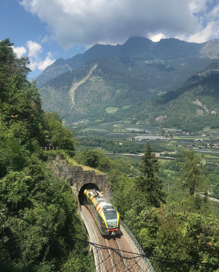 Die Hänge Südtirols sind voll mit Apfelbäumen und Weinreben. Früher wurden die Pflanzen mit kün