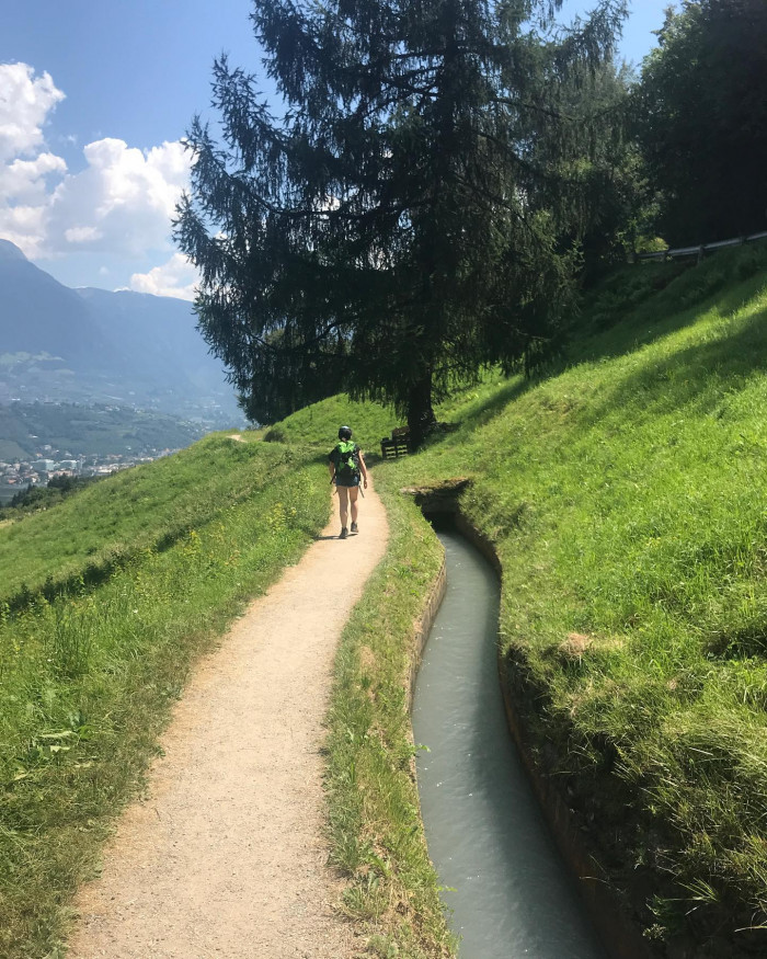 Die Hänge Südtirols sind voll mit Apfelbäumen und Weinreben. Früher wurden die Pflanzen mit kün