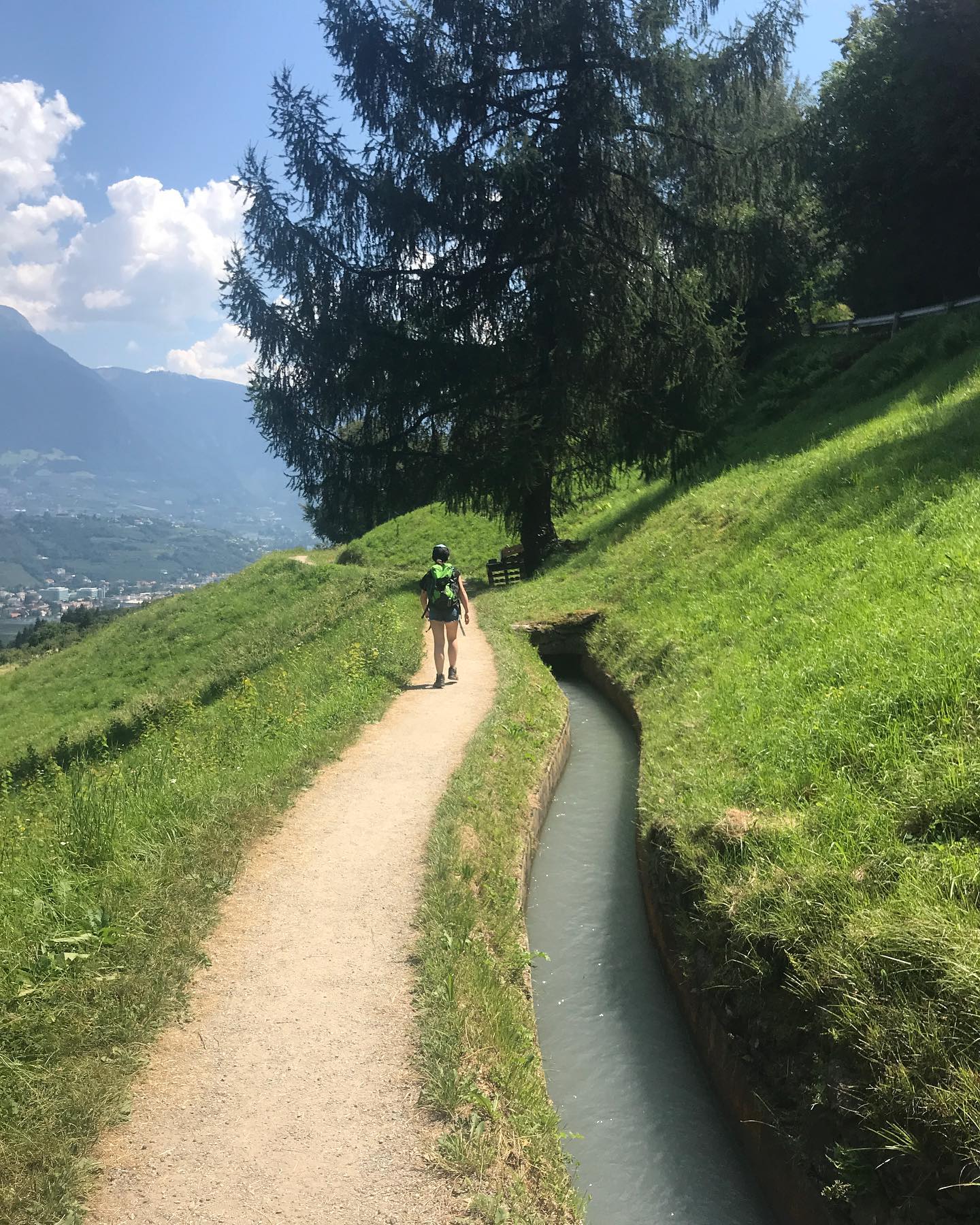 Die Hänge Südtirols sind voll mit Apfelbäumen und Weinreben. Früher wurden die Pflanzen mit kün