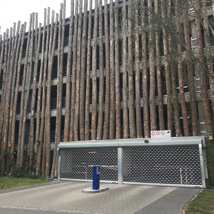 Fr&uuml;h am Morgen guckt noch kurz die Sonne durch. Aber die Sonnenblumen und das Rotwild lassen schon d