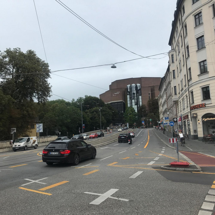 Fr&uuml;h am Morgen guckt noch kurz die Sonne durch. Aber die Sonnenblumen und das Rotwild lassen schon d