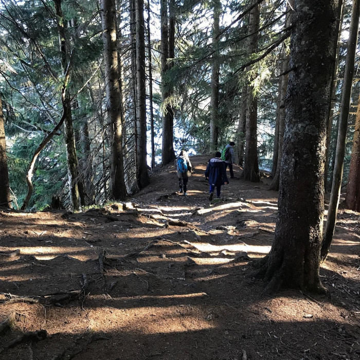 Vom Spitzingsee auf den Bodenschneid
