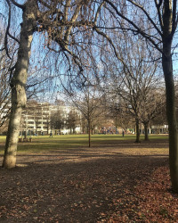 Moin M&uuml;nchen