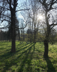 Moin M&uuml;nchen