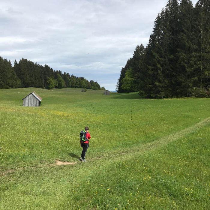 Es geht durch die Ammerschlucht &uuml;ber die Schleierf&auml;lle zur Soyerm&uuml;hle und auf der anderen Flussseite