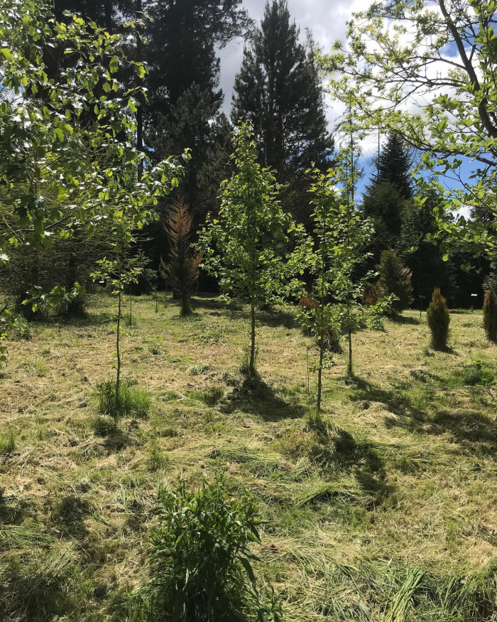 Kurz vor Freising ist der Weltwald. So ein Waldlehrpfad extended. Man l&auml;uft durch &bdquo;Asien&ldquo;, &bdquo;Europa&ldquo;