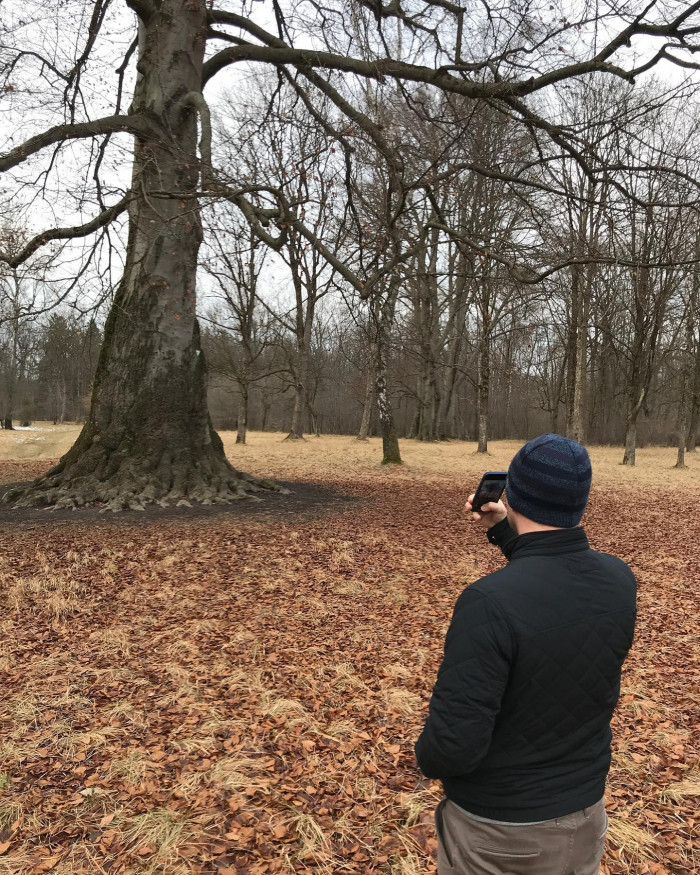 Spaziergang auf die gute Art. Hab einen Baum fotografiert und hab fotografiert, wie @ivoheckmann den