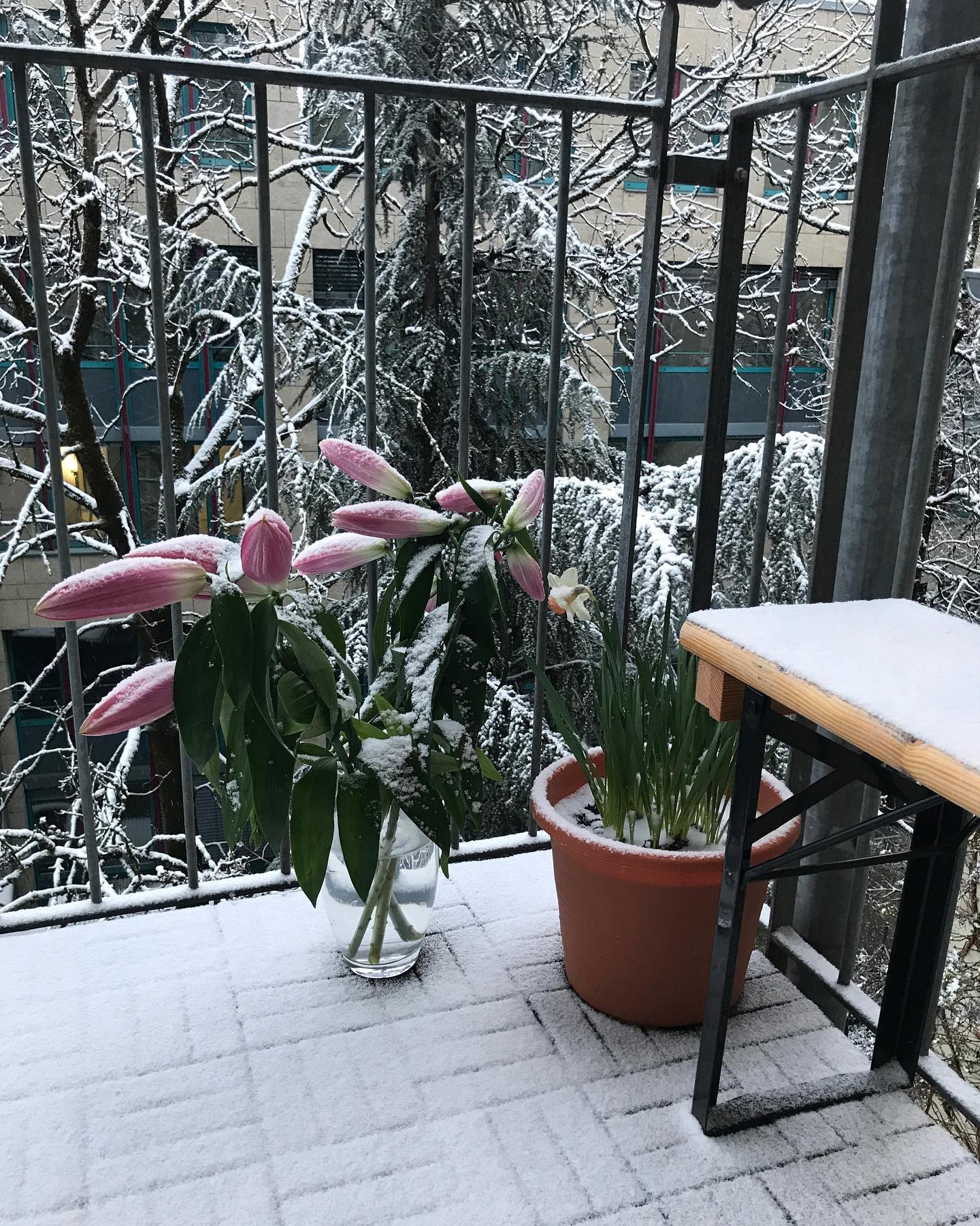 Beweisbild zur Wiedervorlage. Wenn ich n&auml;chstes Jahr im sonnigen M&auml;rz den Kindern wieder sage: &bdquo;Kurz