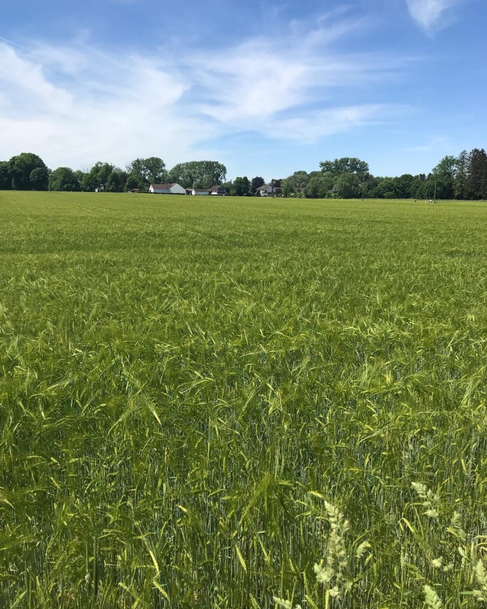 Richtig nette Tour. Vor allem der Schotterabstecher durch die Fr&ouml;ttmaninger Heide. (alle Details &uuml;be