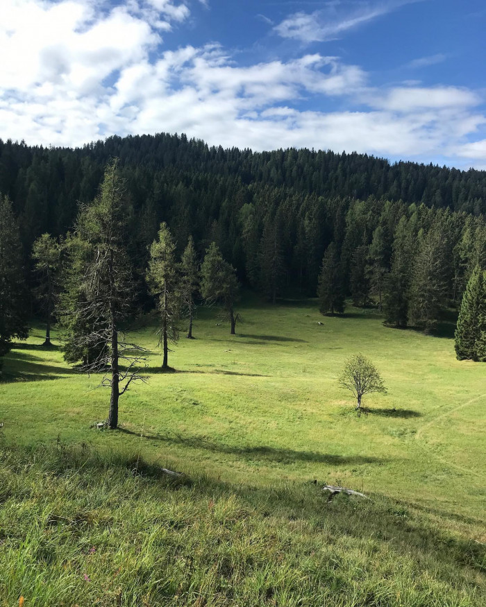 Urlaub in S&uuml;dtirol (Bozen) ohne Auto und ein paar Wanderungen. Alle Touren und ein paar Tipps im Blo