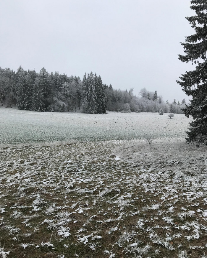 Am Albtrauf entlang.