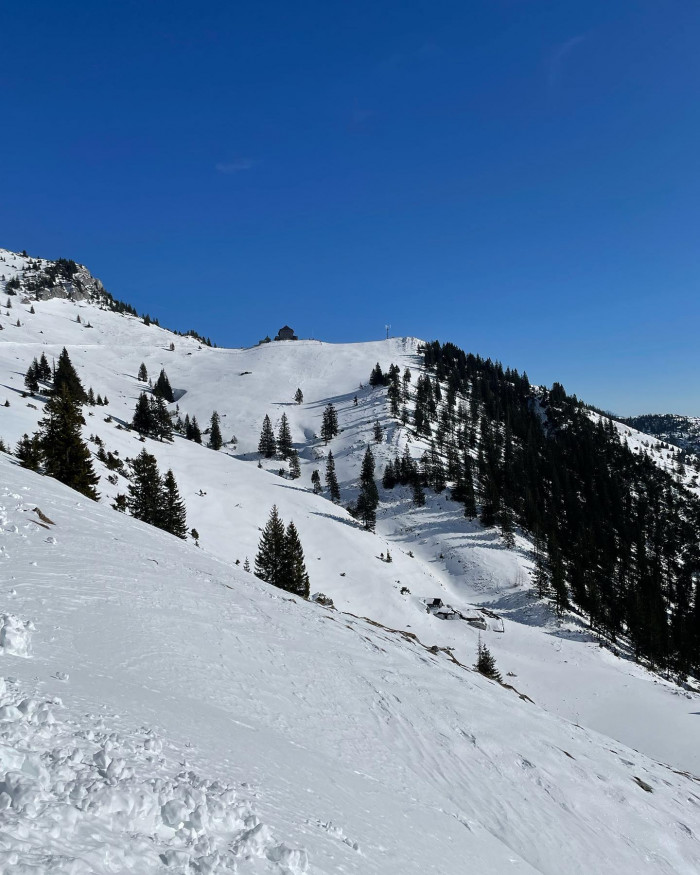 Hi, ich bin die Hauskatze vom Rotwandhaus.