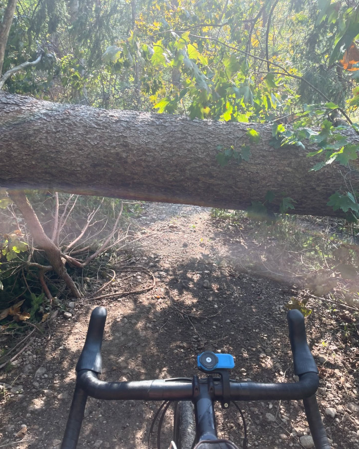 Die Vier-Weiher-Runde