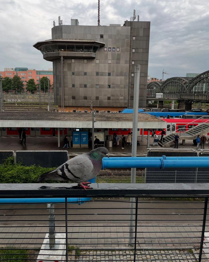 Moin M&uuml;nchen